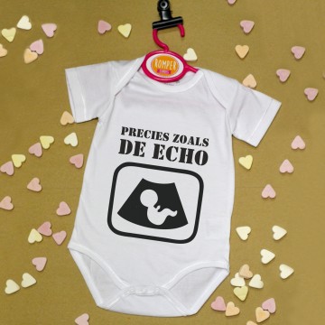 Precies zoals de echo